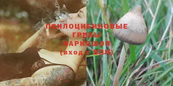 ешки Лабытнанги