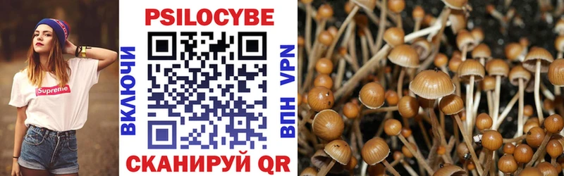 Галлюциногенные грибы ЛСД  Купить где  Буй 